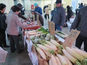 香川の冬野菜を販売
